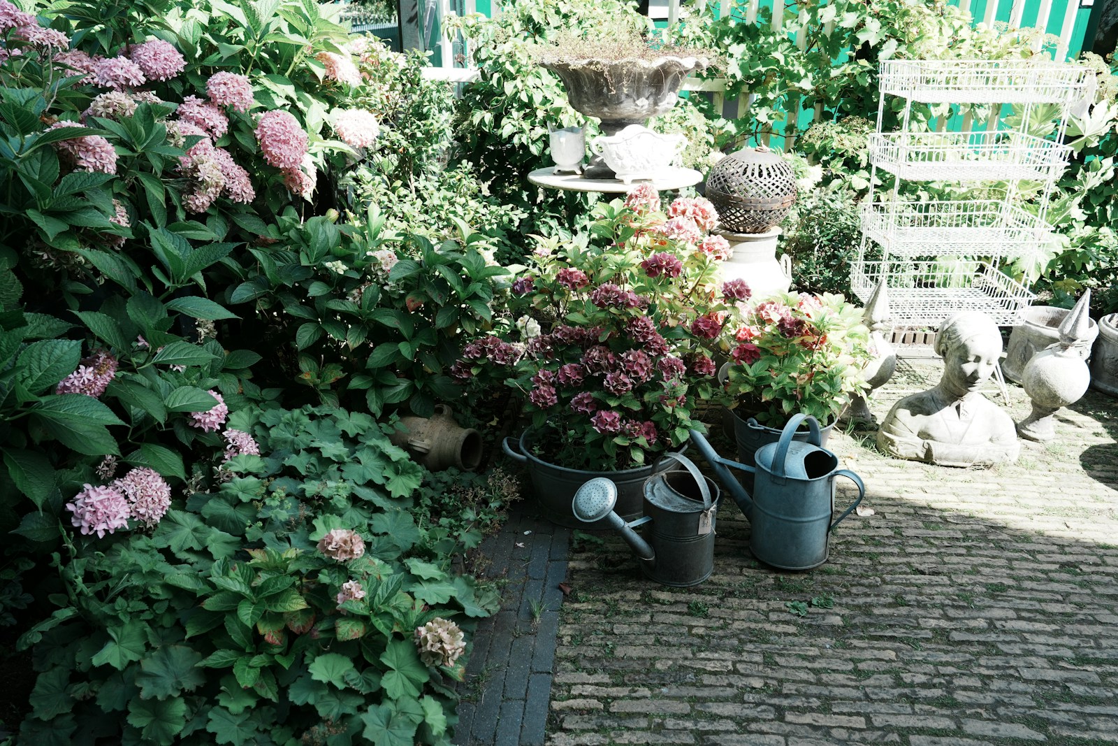 a bunch of flowers that are sitting in the dirt