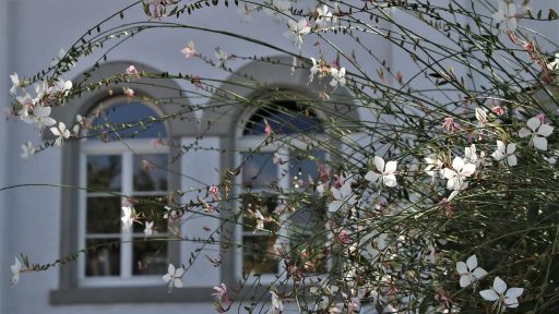 Stijlvol gedecoreerde vensterbank met kleine plantjes, keramische vaasjes en natuurlijk daglicht