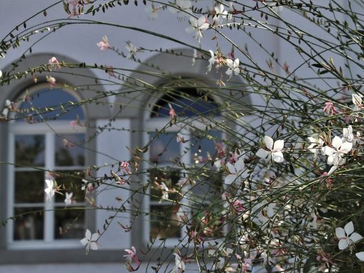 Stijlvol gedecoreerde vensterbank met kleine plantjes, keramische vaasjes en natuurlijk daglicht