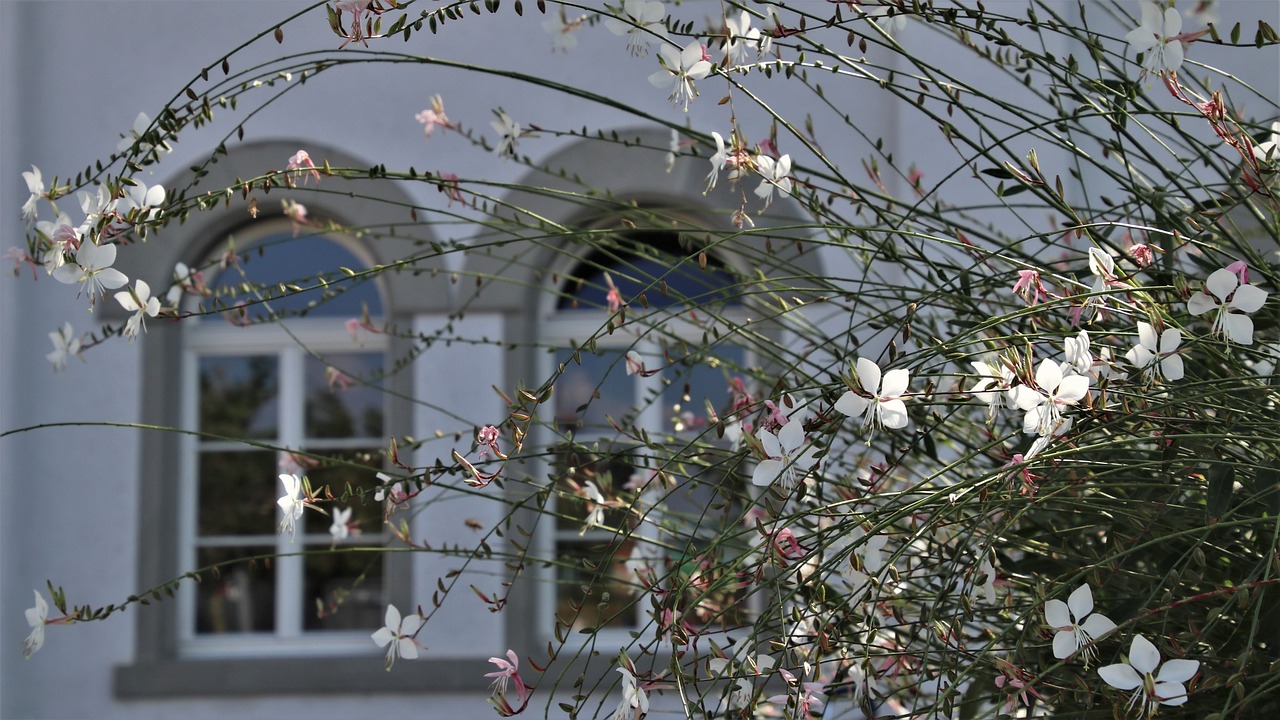 Stijlvol gedecoreerde vensterbank met kleine plantjes, keramische vaasjes en natuurlijk daglicht