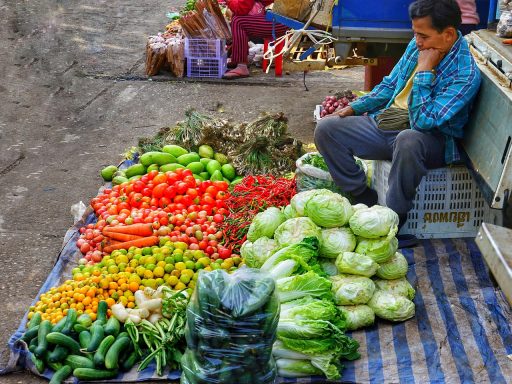 Marktkraam vol met verse tomaten, courgettes, bramen en pruimen in augustus